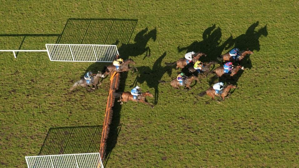 Horse Racing Tips Can Dazzler put it all in for once in Ffos Las Thursday double?